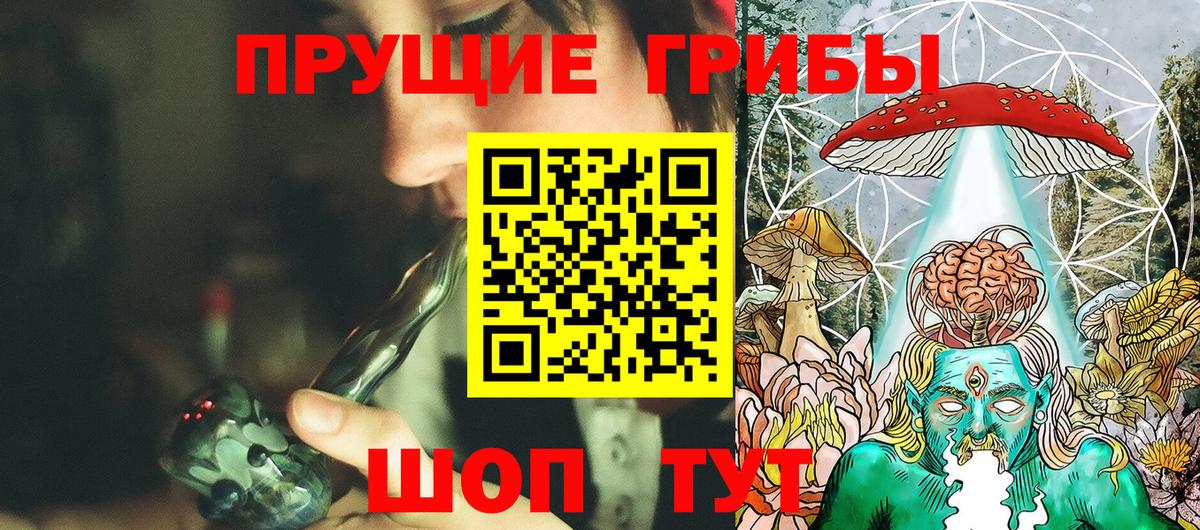 Псилоцибиновые грибы Psilocybe Похвистнево